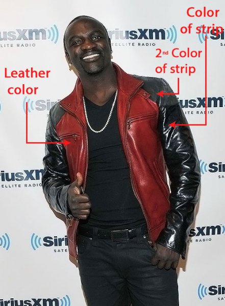 (image for) Akon Leather Jacket