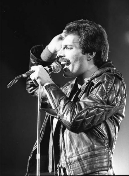 (image for) Freddie Mercury Leather Jacket