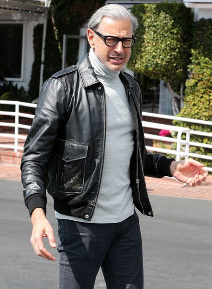 (image for) Jeff Goldblum Leather Jacket #2