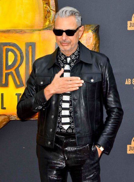 (image for) Jeff Goldblum Leather Jacket #1